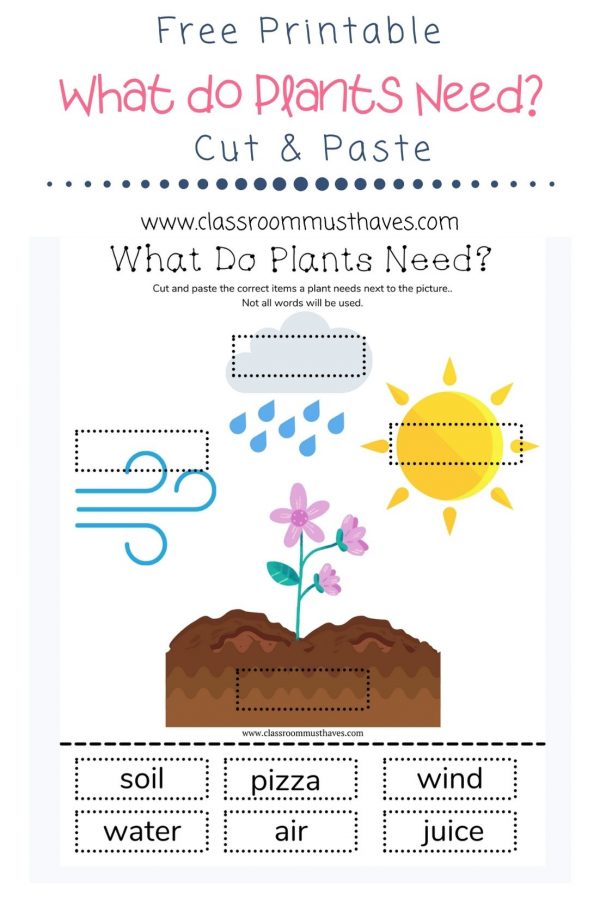 What Do Plants Need