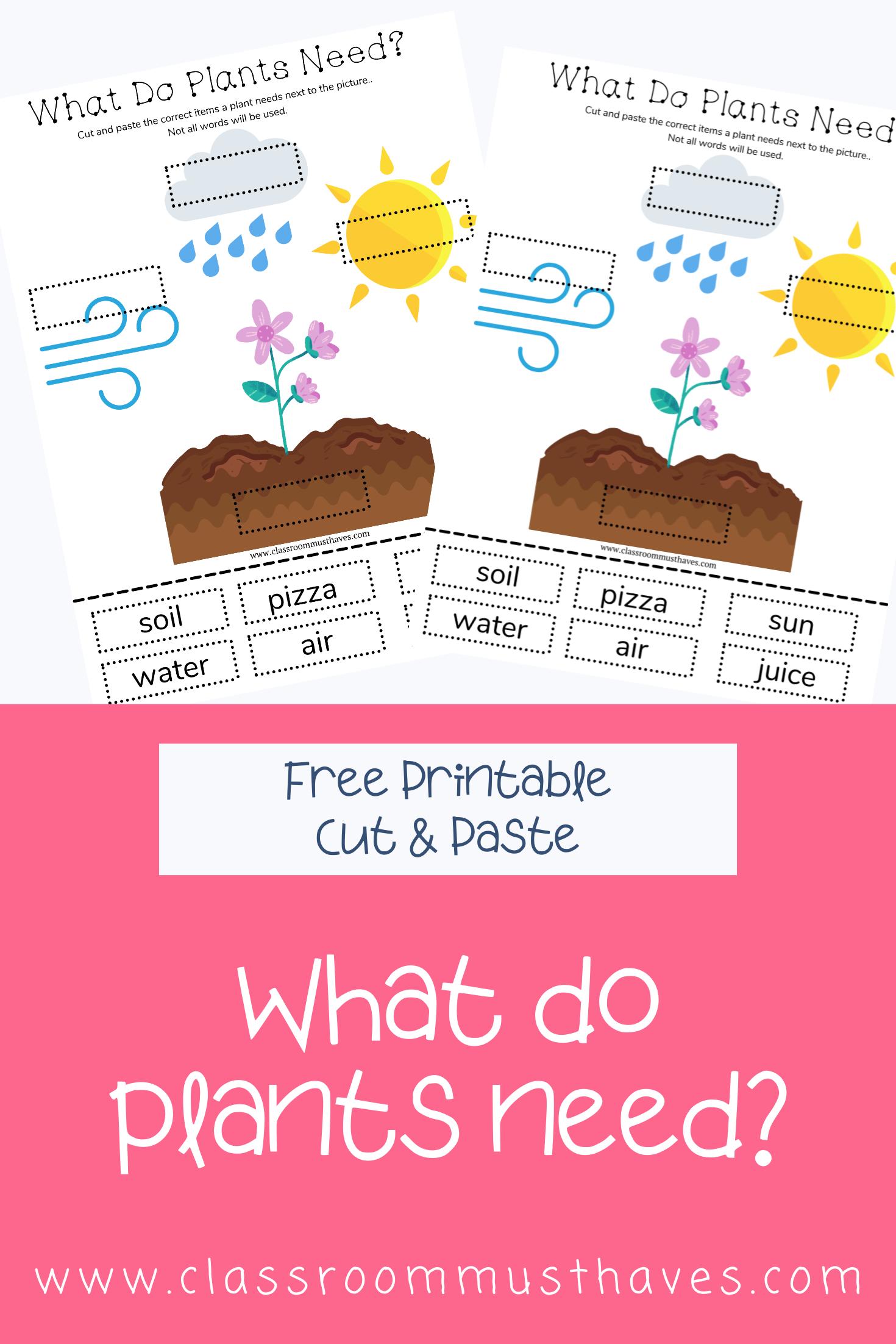 What Do Plants Need Worksheet for Preschool & Kindergarten! via @classroommusthaves