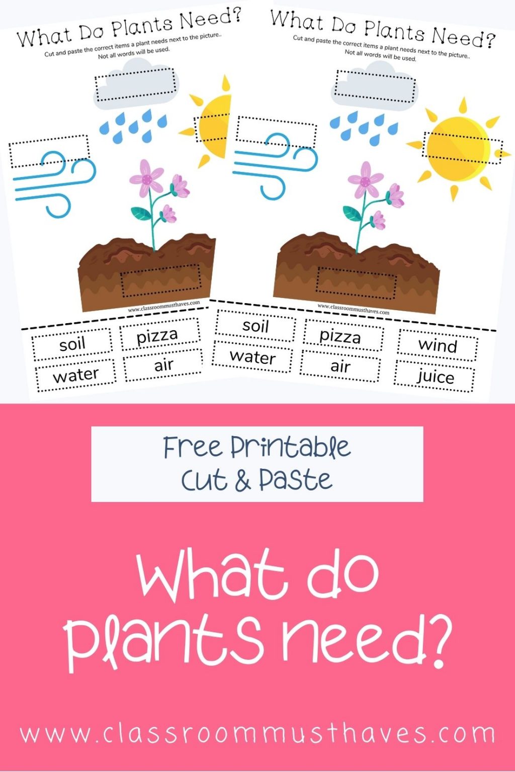 What Do Plants Need to Grow Worksheet Classroom Must Haves