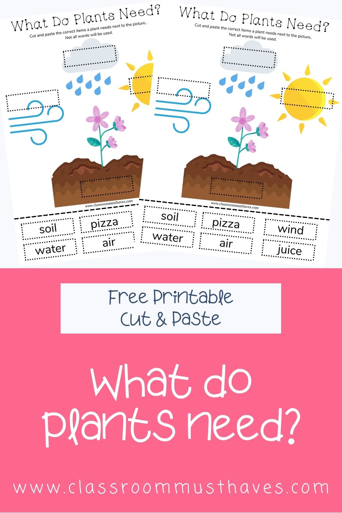 What Do Plants Need Worksheet - Classroom Must Haves