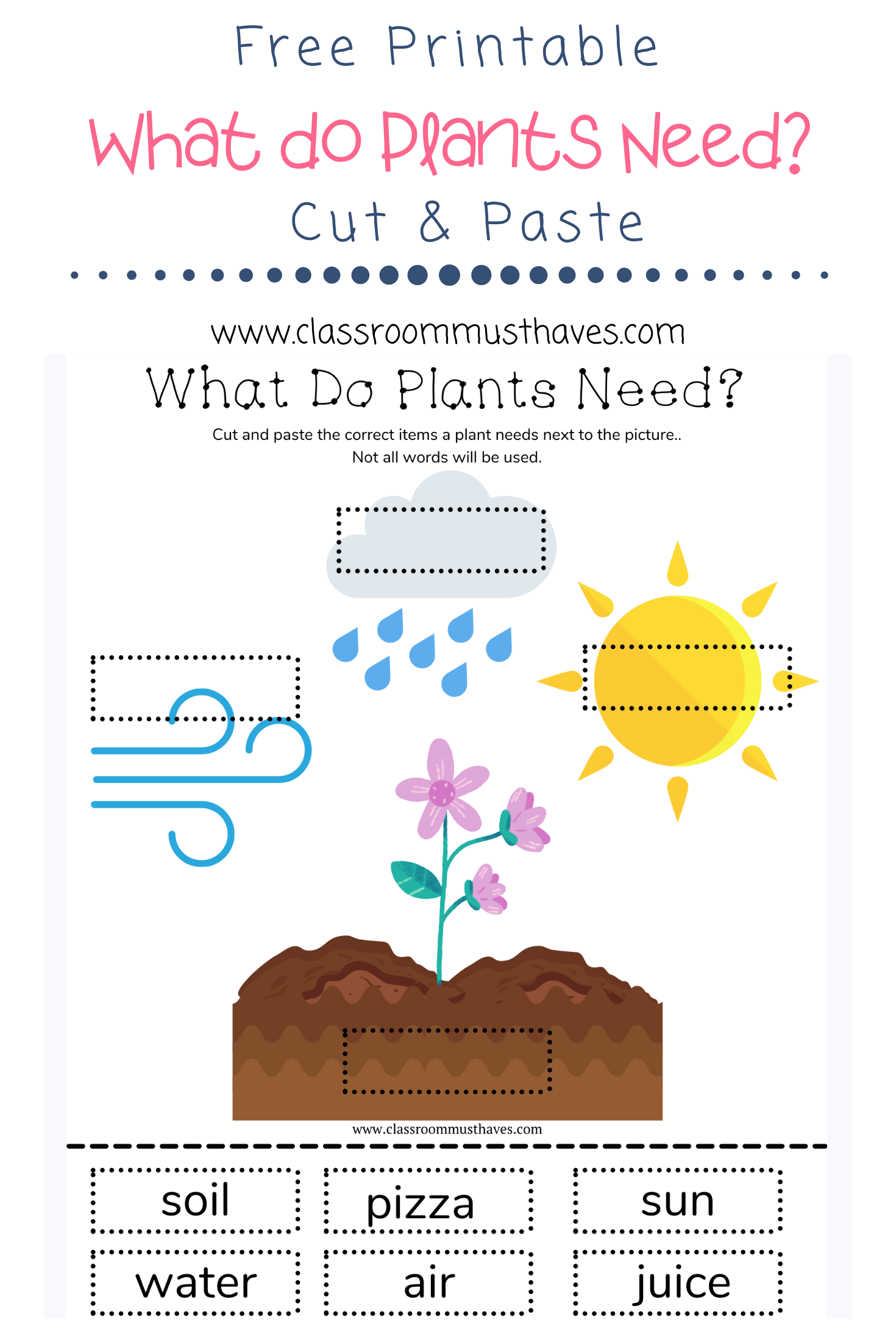 What to Plants Need to Grow Worksheet