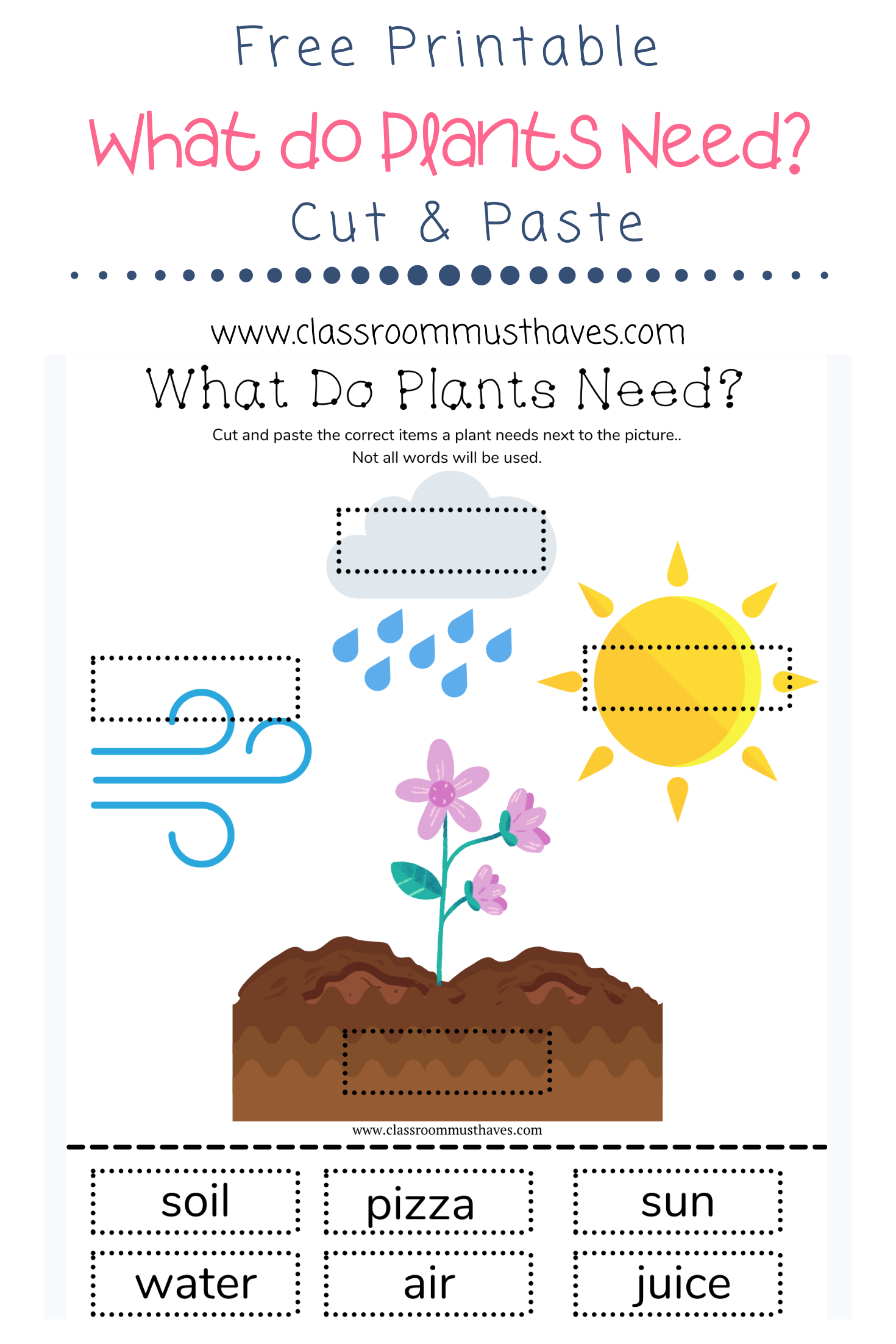 What Do Plants Need to Grow Worksheet Classroom Must Haves