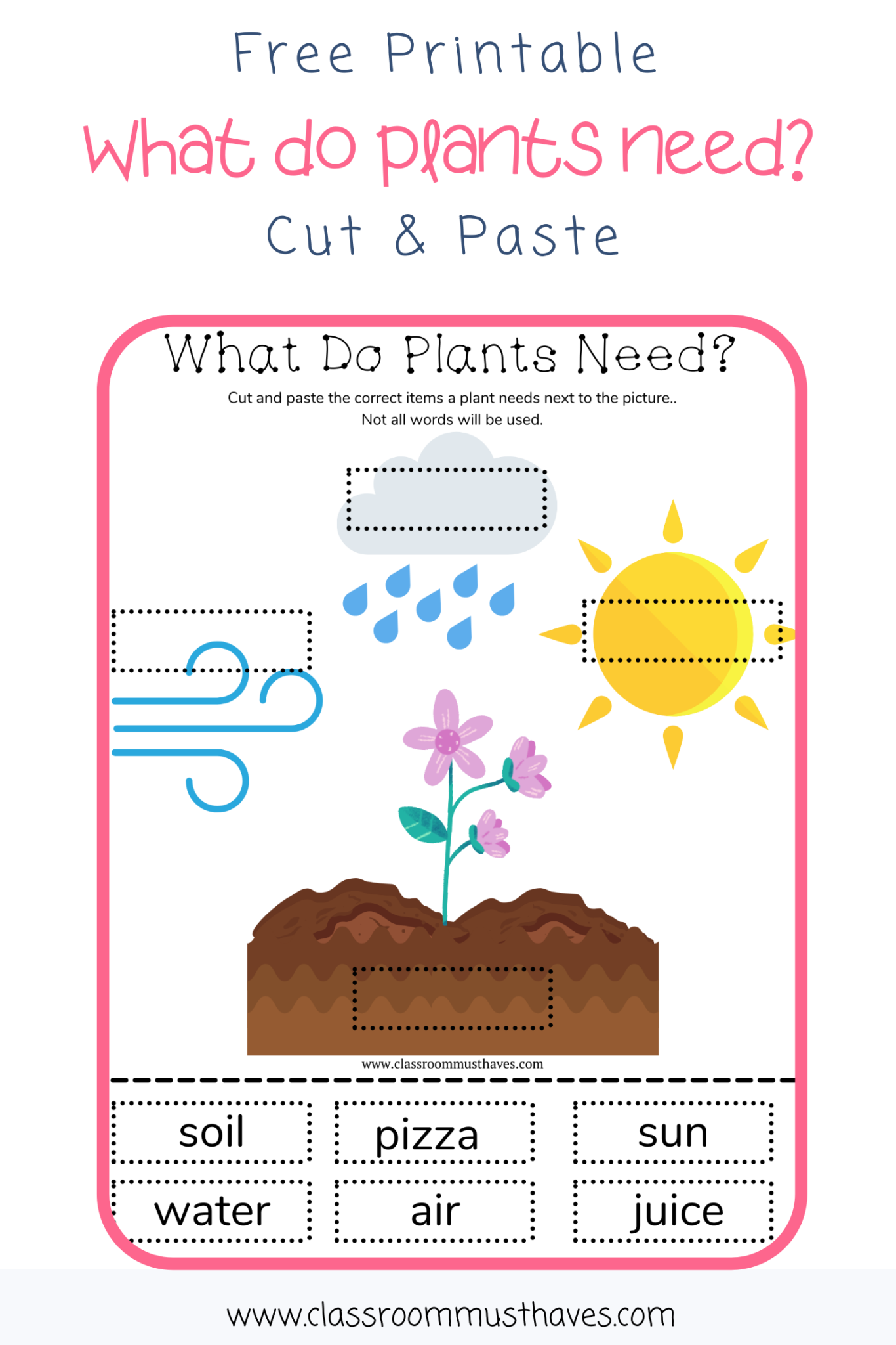 What Do Plants Need to Grow Worksheet - Classroom Must Haves