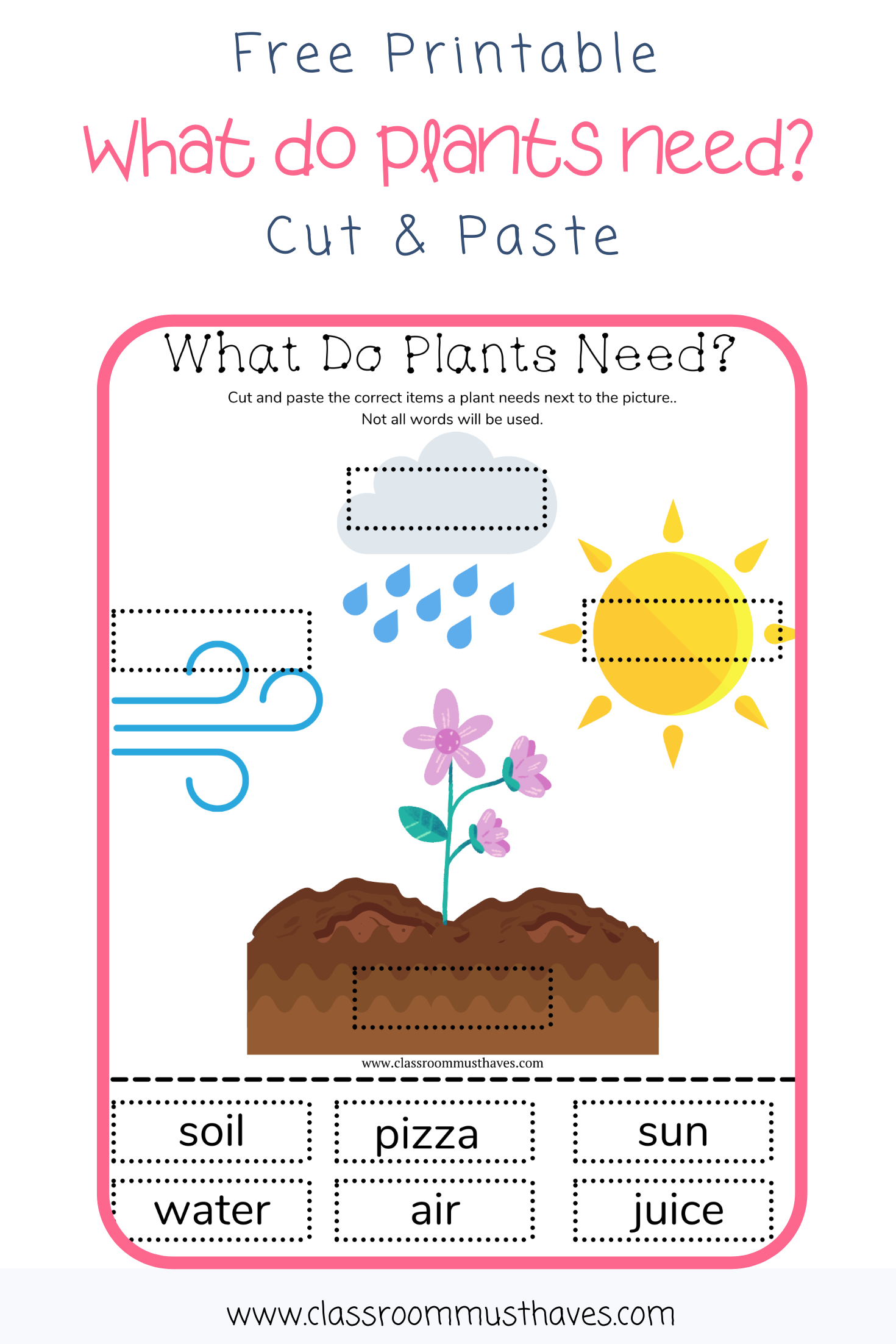 What do Plants Need to Grow Worksheet